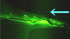 f:id:gyou:20120515203421j:image