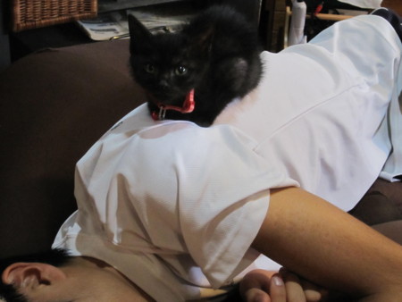 f:id:gyou:20120624100015j:image