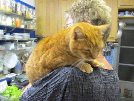 f:id:gyou:20120930060955j:image