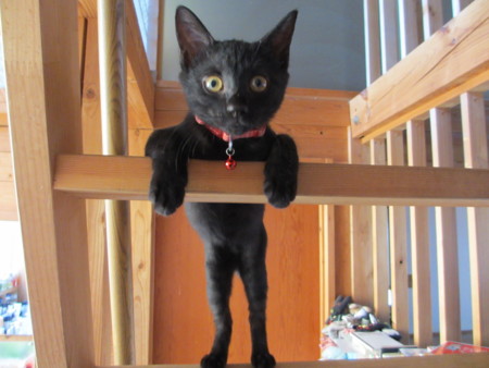 f:id:gyou:20120930115608j:image