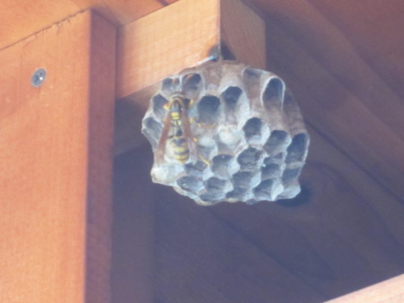 f:id:gyou:20130819081127j:image