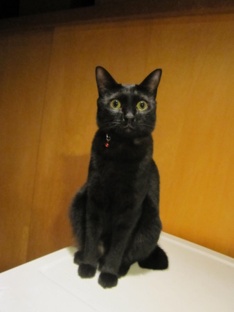 f:id:gyou:20130930200921j:image