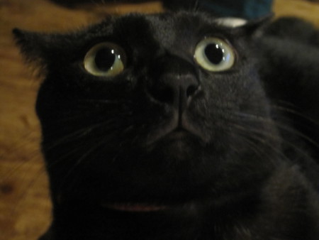 f:id:gyou:20131124205506j:image