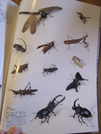 f:id:gyou:20140329090037j:image