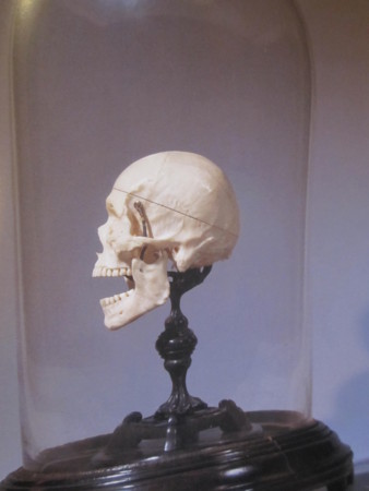 f:id:gyou:20140329090127j:image