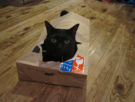 f:id:gyou:20140720125916j:image