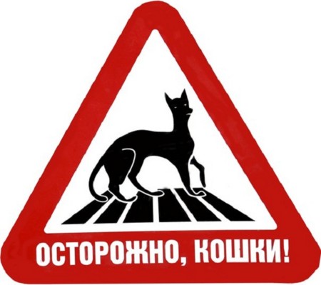 f:id:gyou:20160124193933j:image f:id:gyou:20160124193933j:image