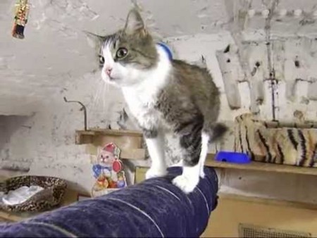 f:id:gyou:20160124195037j:image f:id:gyou:20160124195037j:image