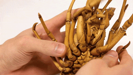 f:id:gyou:20160319081047g:image