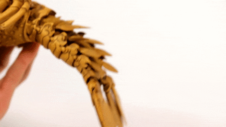 f:id:gyou:20160319081053g:image