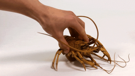 f:id:gyou:20160319081106g:image