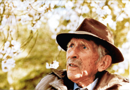 f:id:gyou:20160330210818j:image