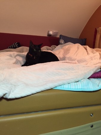 f:id:gyou:20170416200727j:image