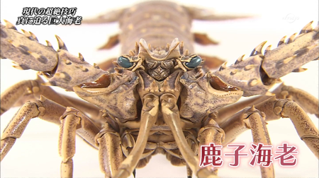 f:id:gyou:20180830195241p:image