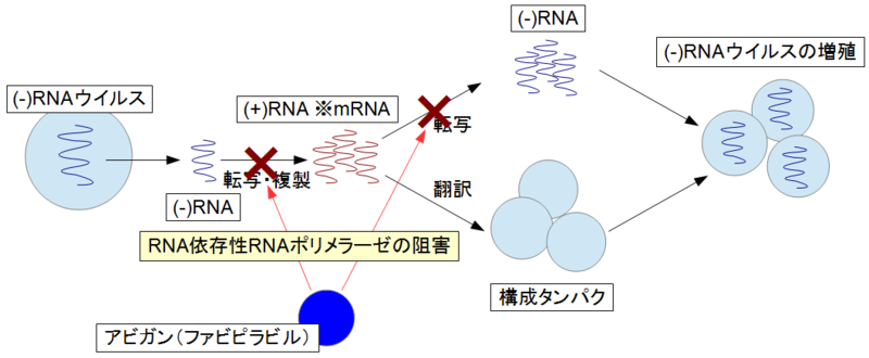 f:id:gyou:20200201190502p:plain