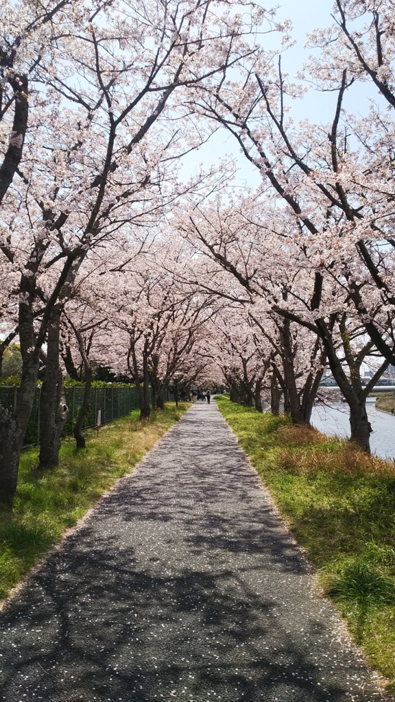 f:id:gypsypapa:20180401214651j:plain