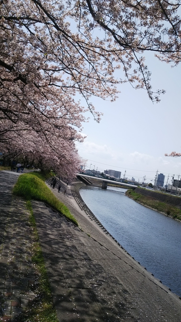 f:id:gypsypapa:20180401220731j:plain