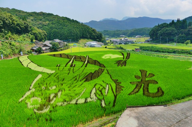 f:id:gyu4j7:20170722081957j:image f:id:gyu4j7:20170722081957j:image