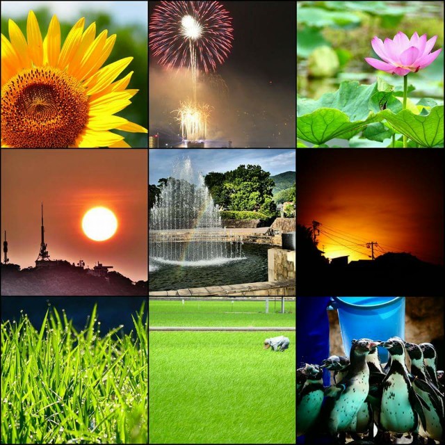 f:id:gyu4j7:20170731174648j:image f:id:gyu4j7:20170731174648j:image