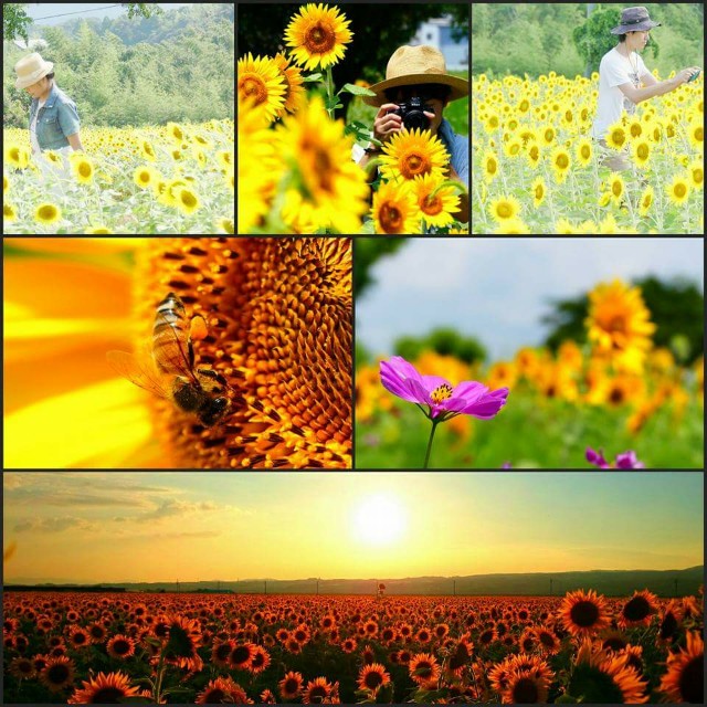 f:id:gyu4j7:20170731174703j:image f:id:gyu4j7:20170731174703j:image
