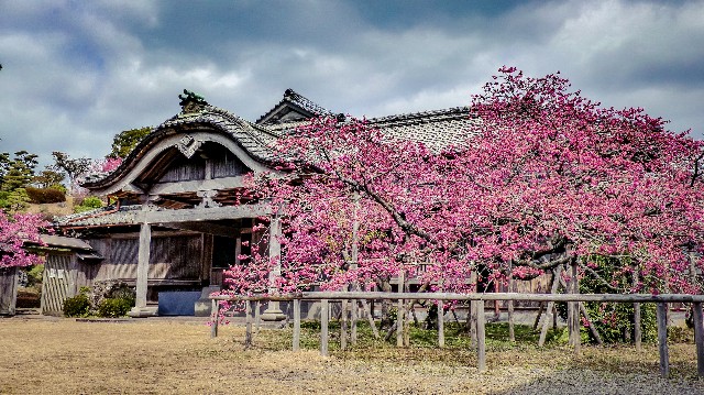 f:id:gyu4j7:20190220142113j:image