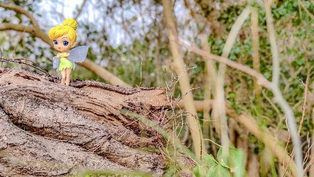 f:id:gyu4j7:20190315162349j:image