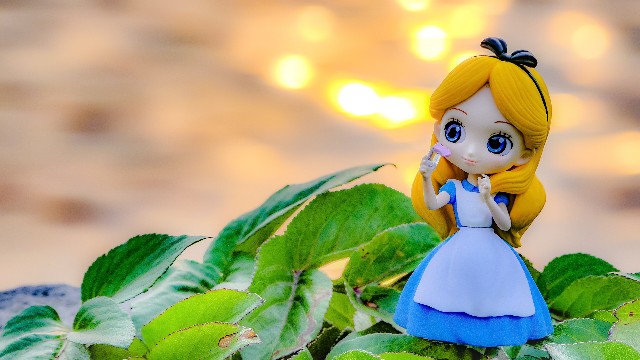 f:id:gyu4j7:20190315162413j:image
