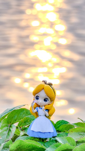 f:id:gyu4j7:20190315162424j:image