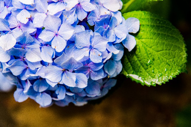 f:id:gyu4j7:20190627144813j:image