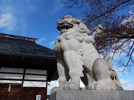 イメージ 14