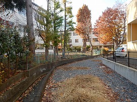 イメージ 19