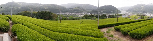 イメージ 5