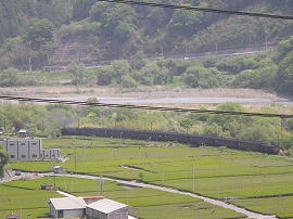 イメージ 7