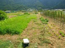 イメージ 2