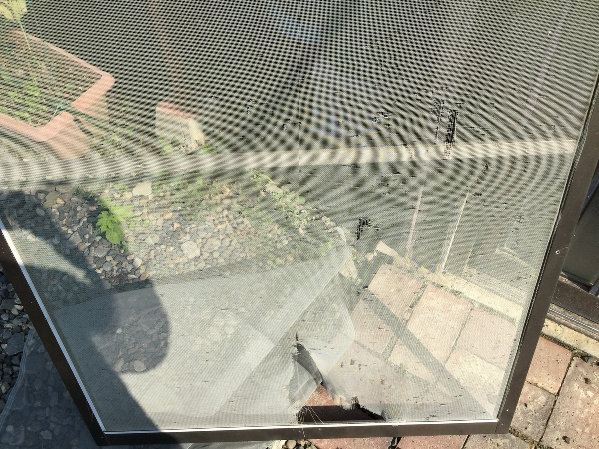 f:id:gyuuhomura:20190804150147j:plain f:id:gyuuhomura:20190804150147j:plain