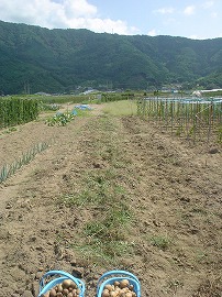 イメージ 13