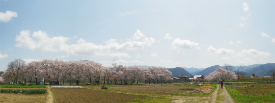 イメージ 6