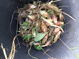 f:id:gyuuhomura:20190811120124j:plain f:id:gyuuhomura:20190811120124j:plain