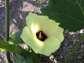 f:id:gyuuhomura:20190812121936j:plain f:id:gyuuhomura:20190812121936j:plain