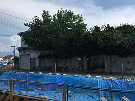 f:id:gyuuhomura:20190825004122j:plain f:id:gyuuhomura:20190825004122j:plain