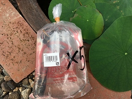 f:id:gyuuhomura:20190903130749j:plain f:id:gyuuhomura:20190903130749j:plain
