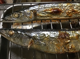 f:id:gyuuhomura:20190904022135j:plain f:id:gyuuhomura:20190904022135j:plain