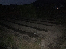 f:id:gyuuhomura:20190912003515j:plain f:id:gyuuhomura:20190912003515j:plain