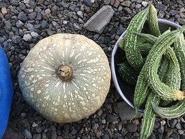 f:id:gyuuhomura:20190914120954j:plain