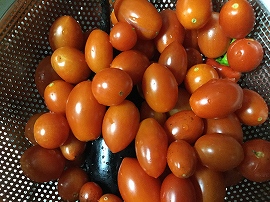 f:id:gyuuhomura:20191027180415j:plain f:id:gyuuhomura:20191027180415j:plain