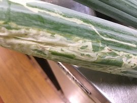 f:id:gyuuhomura:20191027180450j:plain f:id:gyuuhomura:20191027180450j:plain