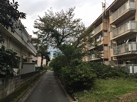 f:id:gyuuhomura:20191031015152j:plain f:id:gyuuhomura:20191031015152j:plain
