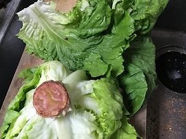 f:id:gyuuhomura:20191108135324j:plain f:id:gyuuhomura:20191108135324j:plain