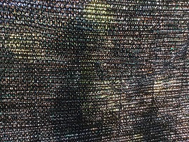 f:id:gyuuhomura:20191110001846j:plain f:id:gyuuhomura:20191110001846j:plain