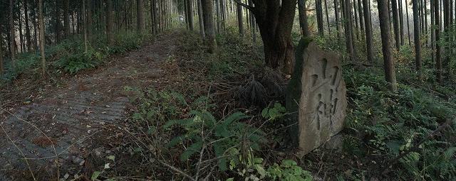 f:id:gyuuhomura:20191202012003j:plain